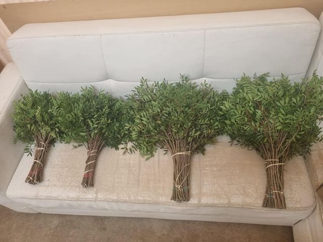 ramos hoja verde expuestos en sofá