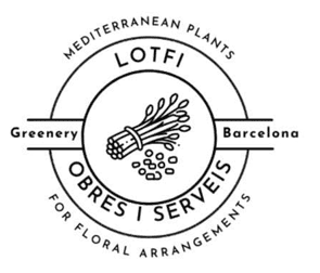 Lotfi Obres I Serveis
